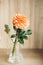 Orange dahlia single flower in the glass vase on table