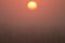 Orange dawn with mist