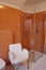 Orange Designer Bathroom