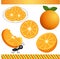 Orange Digital Clipart