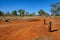 Orange dirt near Camooweal Queensland Australia