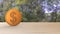 Orange dollar coin Isolated over forest trees blur. 3d render isolated illustration, business, managment, risk, money, cash,
