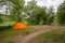 An orange double tent stands in a clearing in a forest by the river.