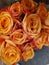 Orange Dozen Roses