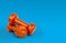 Orange Dumbbell Weights isolated