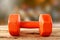 Orange dumbbell on wooden.