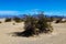 Orange dune, rippled sand going far under blue sky, USA