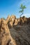 Orange earth sticks and small trees against the blue sky