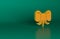 Orange Elephant icon isolated on green background. Minimalism concept. 3D render illustration