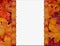 Orange Fall Frame for your message or invitation