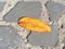 Orange fallen leaf on the stone pavement