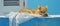 An orange Felidae cat rests on a white towel against a blue wall