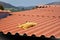 Orange Felis Catus sleeping on top of roof in sunny day