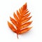 Orange Fern Leaf: Distinctive Character Design With Religious Symbolism