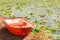 The orange fiberglass boat parked on the banks of the lotus pond.