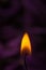 Orange flame with soothing purple background