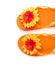 Orange flip-flops with flowers