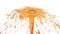 Orange flow of fountain fly up in air with many splashes. Shot of orange liquid as sugar syrup or sweet lemonade in slow