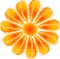 Orange flower