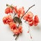 Orange Flower Branch: Deconstructed Objects In The Style Of Junko Mizuno