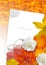 Orange flower card. Education card. Collage of education items and flowers