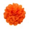 Orange flower fabric