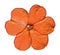 Orange flower of garden balsam Impatiens parviflora. Vector Illustration.