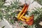 Orange flower of Lotus berthelotii plant