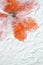 Orange flower paper background