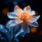 Orange flower with water droplets, in the style of ethereal and dreamlike atmosphere,