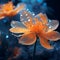 Orange flower with water droplets, in the style of ethereal and dreamlike atmosphere,