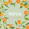 Orange, Flowers and Leaves. Exotic Graphic Tropical Banner