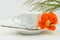 Orange flowers nasturtium with cup of coffee