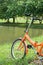 Orange folding bicycles in park