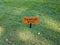 Orange foot golf sign with black arrow in grass