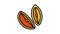 orange fresh cut slice color icon animation