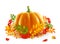 Orange fresh pumpkin in rowan autumn leaves and red berries, vector realistic thanksgiving day illustration isolated on