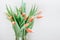 Orange fresh tulips. Unopened tulip buds in a vase