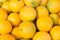 Orange fruiit background. Citrus group. Market place