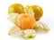 Orange fruit background , Citrus reticulata Blanco : Tangerine, Mandarin orange, Mandarin, Mandarine