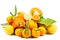 Orange fruit , fresh tangerines oranges and citrus