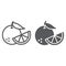 Orange fruit line and glyph icon, fruit