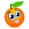 Orange Fruit Mascot Smiling