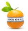 Orange Fruit with measurement