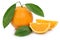 Orange fruit oranges fruits slice sliced slices isolated on whit