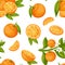 Orange fruit seamless pattern .