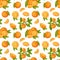 Orange fruit seamless pattern vector.