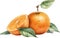 Orange fruit, Watercolor painting of orange fruit. AI-Generated.