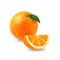 Orange fruit whole and slice with Green Leaf. Vector realistic 3d citrus fruit illustration