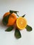 Orange fruit, winter fruit, pictorial at noon farm, orange slice,